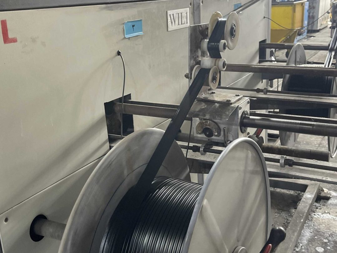 IMG_2982-transformed-scaled